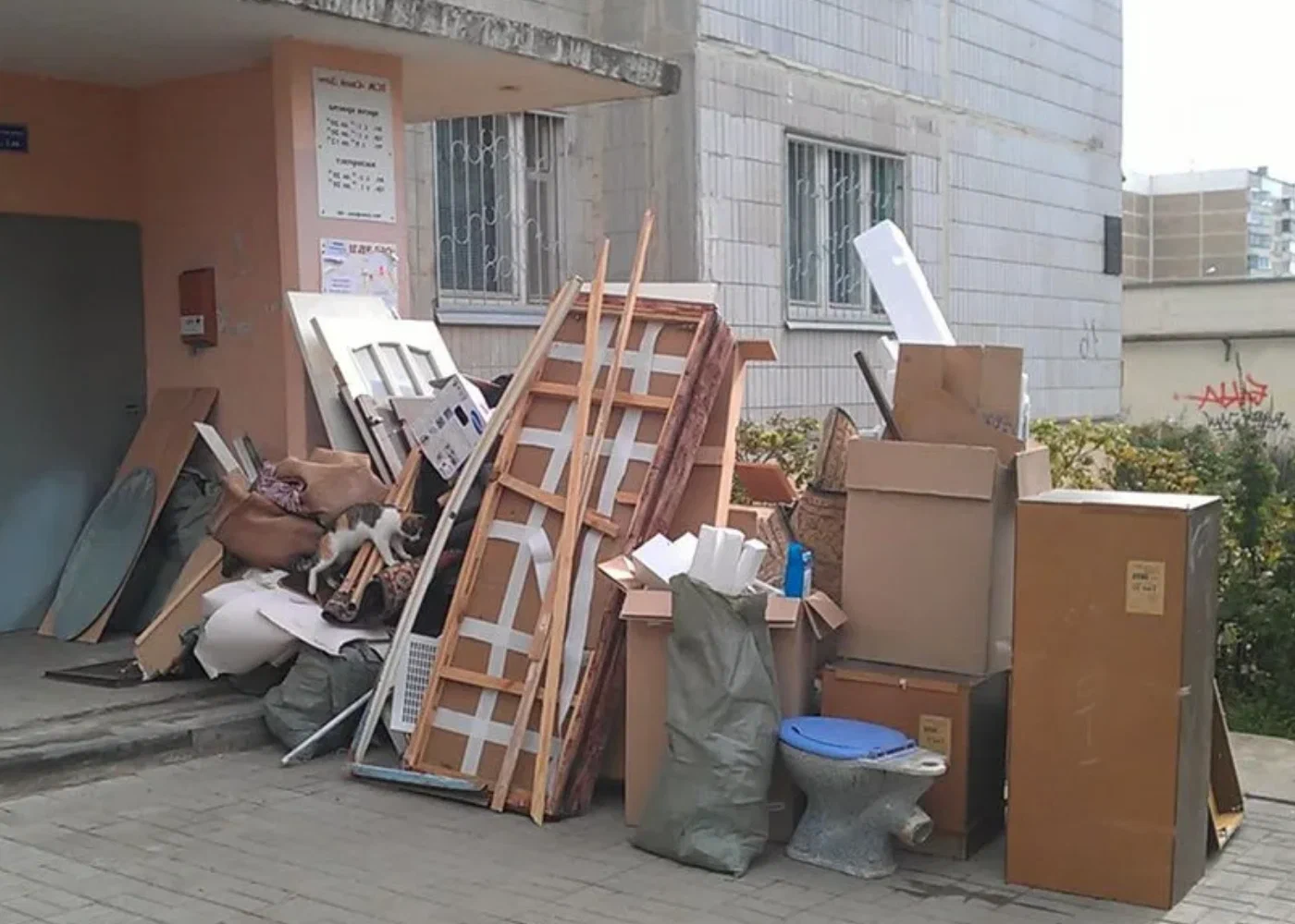 Профессиональный вывоз мусора из квартиры в Красноярске в октябре