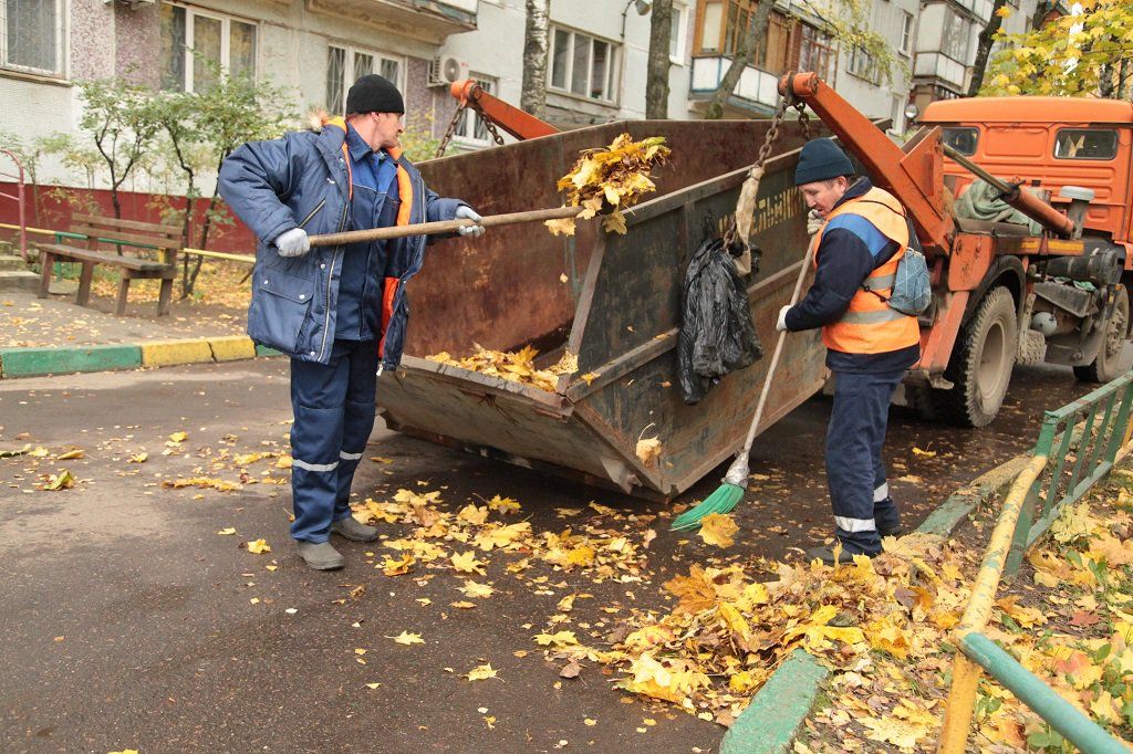 Вывоз опавшей листвы и растительного мусора в Красноярске от ПроМусор – цена от 4572 руб., быстрая уборка и утилизация